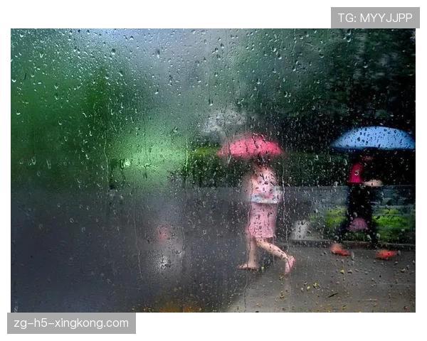 TI15期间上海天气预警:梅雨季节观赛,请务必带好雨具并保护好外设伞